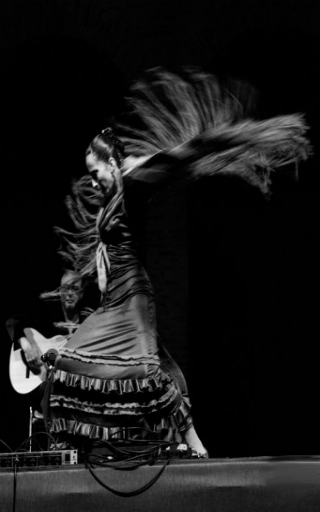 espectaculo flamenco en Madrid