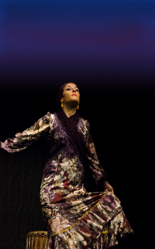 tablao flamenco Madrid