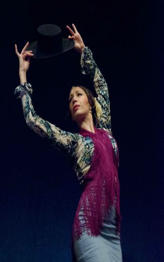 spectacle flamenco Madrid